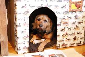 Tillmann Hundebett Tasche The Heritage Post Damen Lieblingsstück 4380