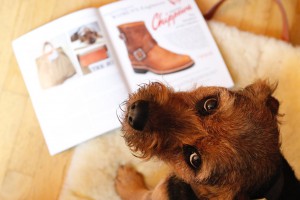 Tillmann Hundebett Tasche The Heritage Post Damen Lieblingsstück 4381