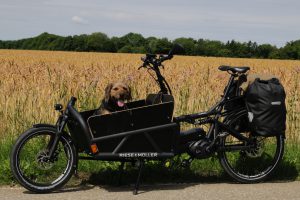 E-Cargo-Bike Load Riese und Müller Lastenrad